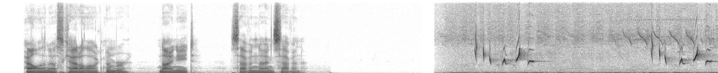 Лемурка буролоба - ML98797