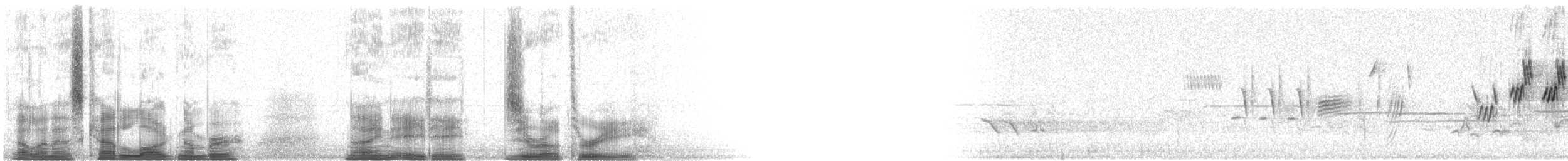 Mourning Warbler - ML98803