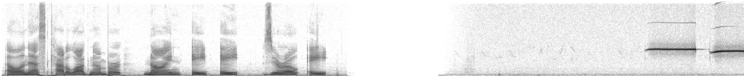 strnadec bělohrdlý - ML98808