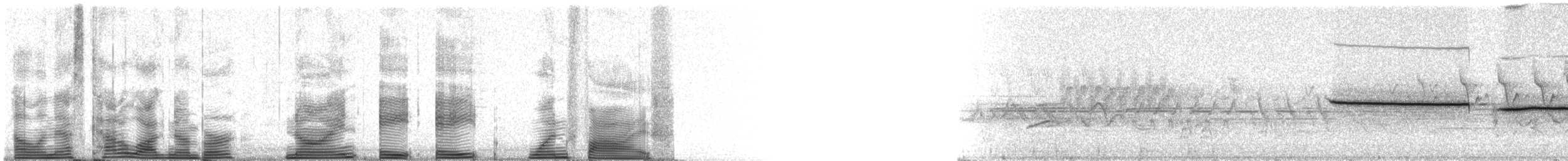 strnadec bělohrdlý - ML98815