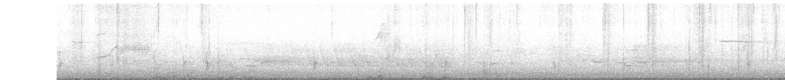 Дрізд-короткодзьоб Cвенсона - ML98816191