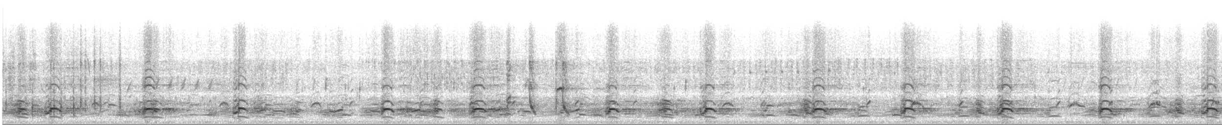 ברנטה קנדית - ML98824161