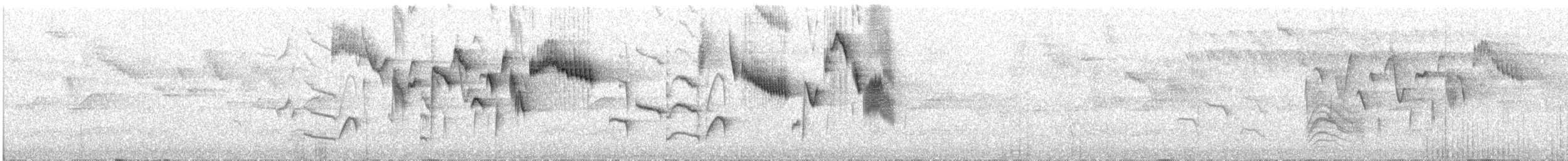 Troglodyte montagnard - ML98828041