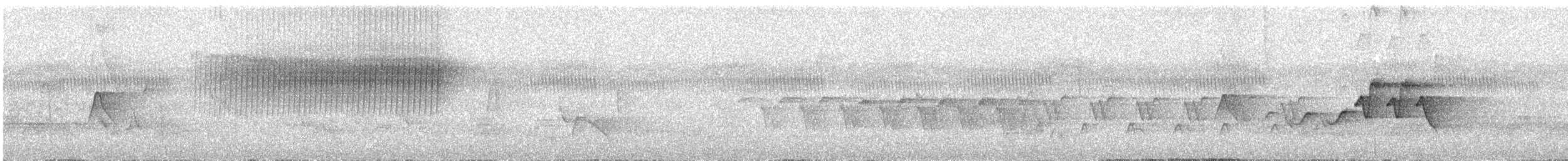 Worm-eating Warbler - ML98847381