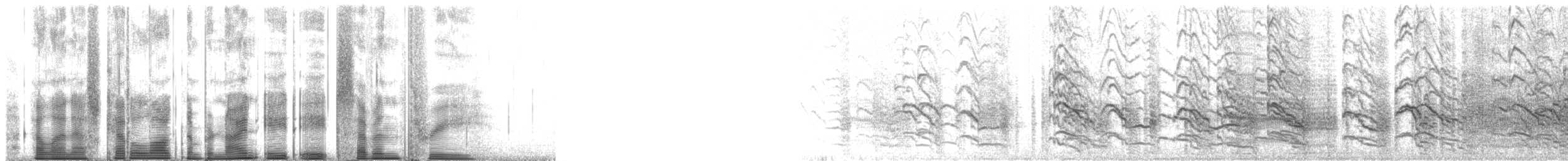 Крячок річковий (підвид hirundo/tibetana) - ML98873