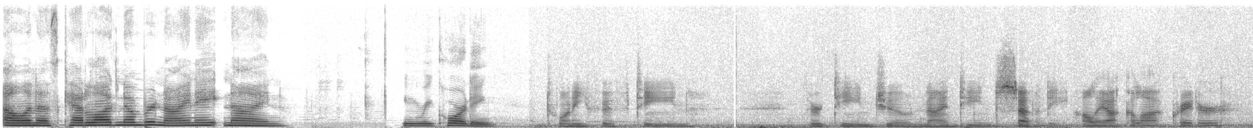 Hawaiian Petrel - ML989