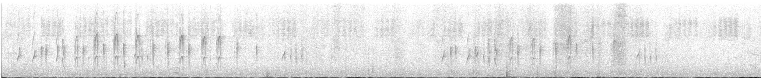 Тиранчик-довгохвіст білогорлий - ML98937181