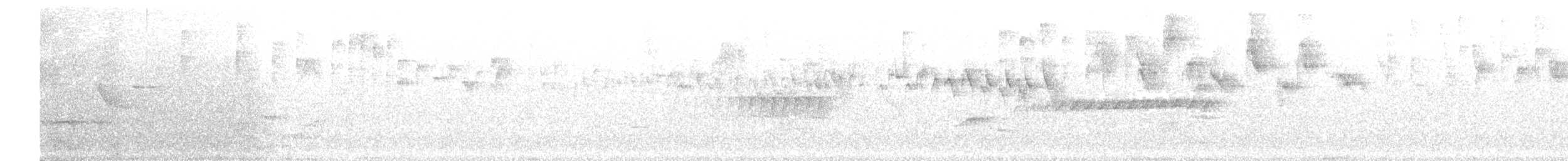 White-winged Becard - ML98940221