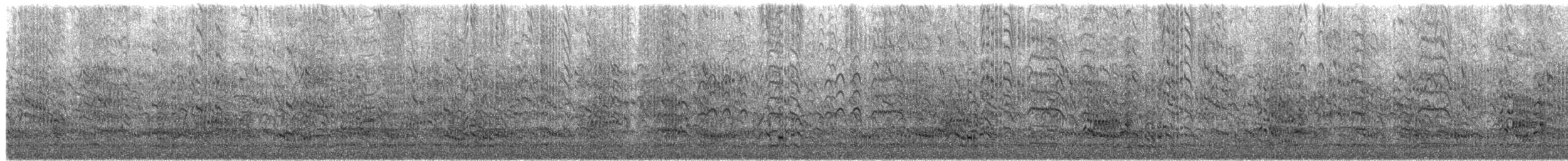 Royal Tern - ML98969861