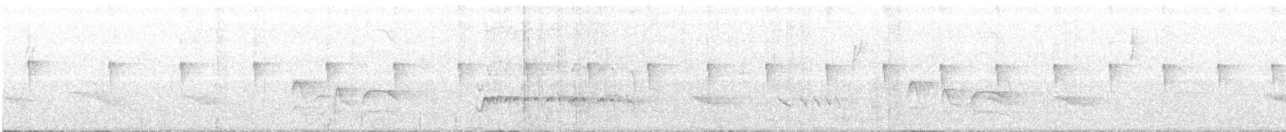 Amazonian Streaked-Antwren - ML98994481