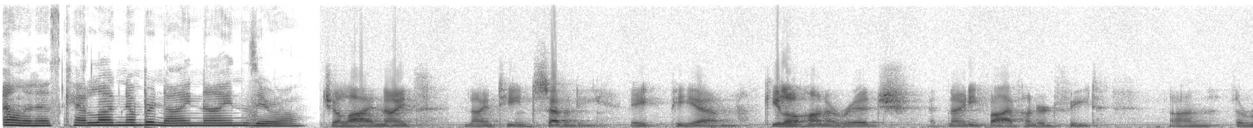 Hawaiian Petrel - ML990