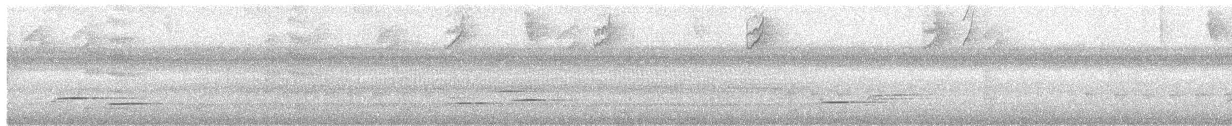 Speckled Nightingale-Thrush - ML99025891