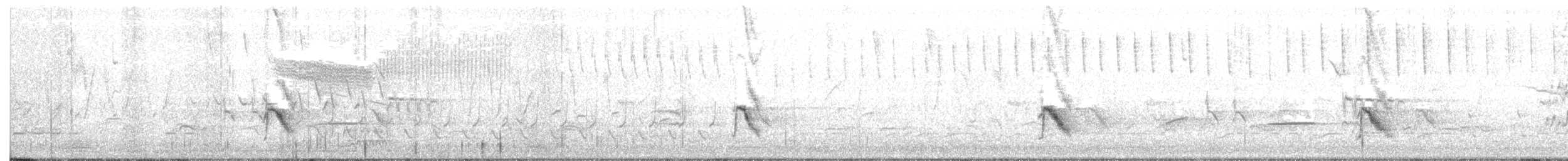 Gri Yanaklı Bülbül Ardıcı - ML99026441