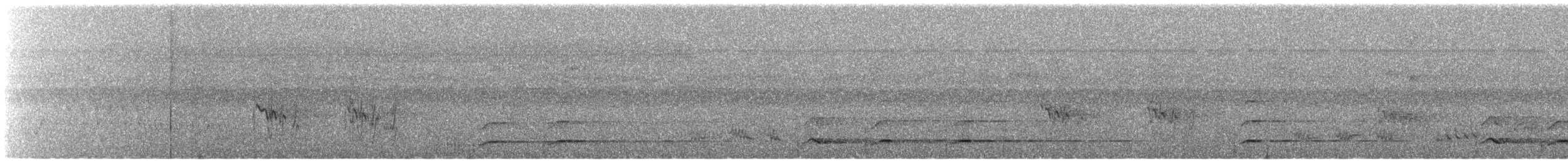 White-throated Toucan - ML99032561