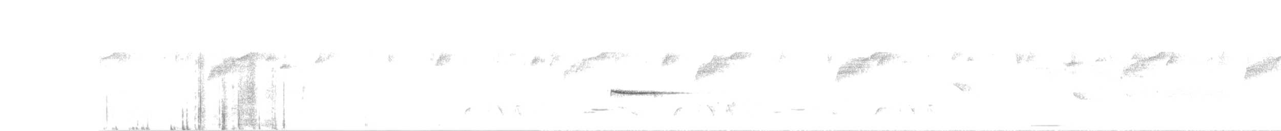 Küstenkordilleren-Ameisenfänger - ML99052711