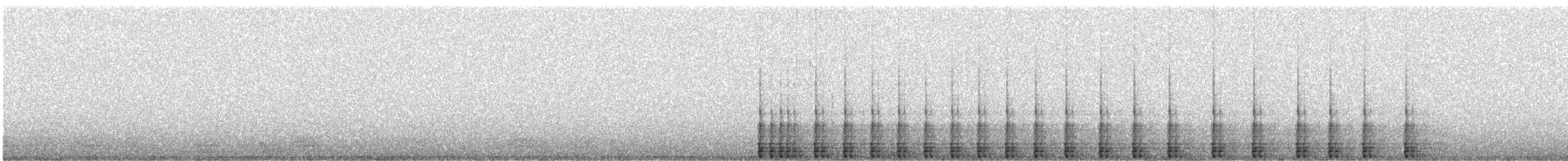 Дятел-смоктун білочеревий - ML99057911