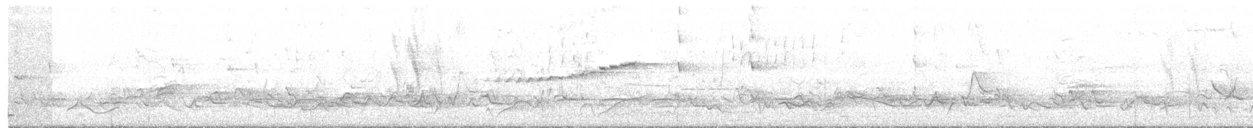 Мангровая x Прерийная древесница (гибрид) - ML99151611