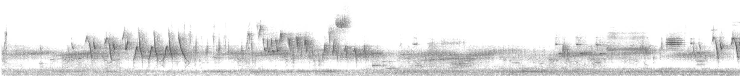 Northern Waterthrush - ML99172961