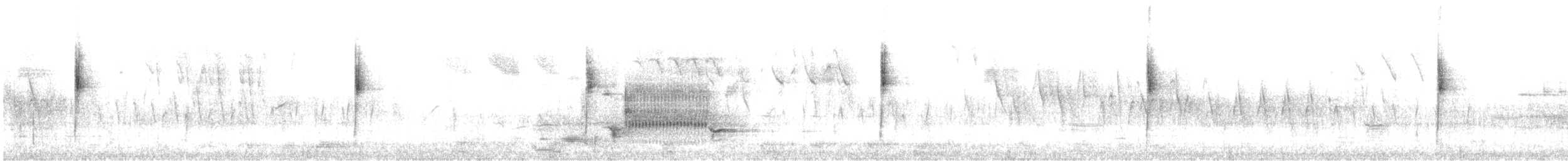 Northern Waterthrush - ML99174831