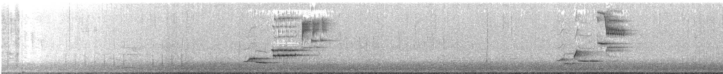 Wood Thrush - ML99175281