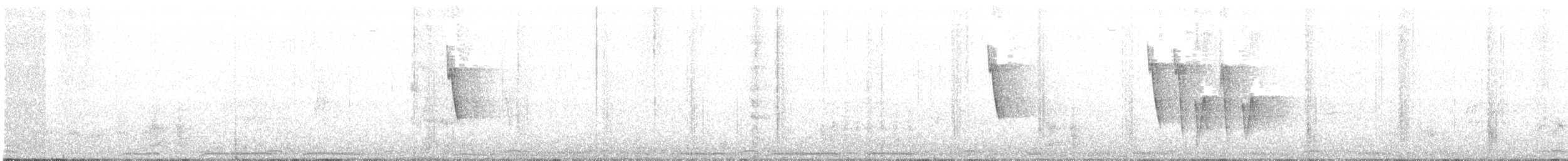 holub hřivnáč - ML99192461