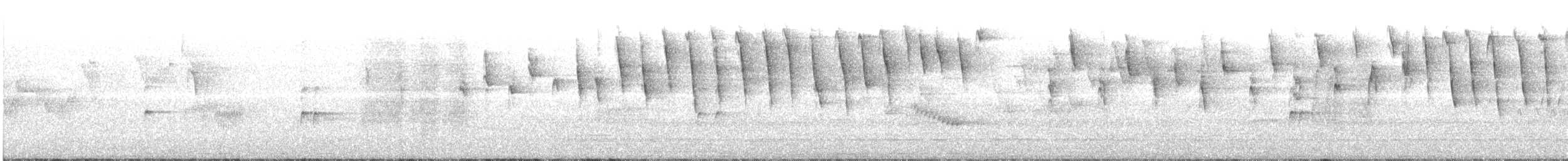 Tennessee Warbler - ML99217961