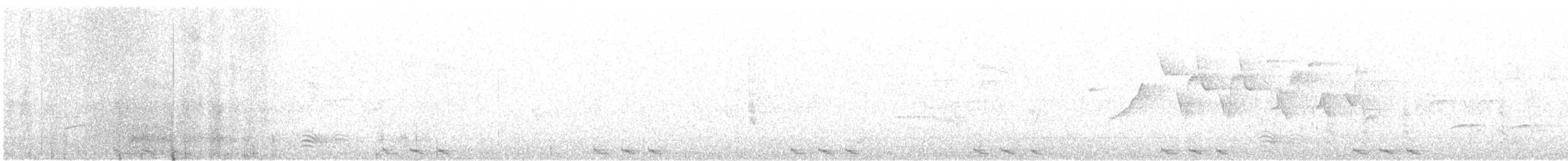 Black-billed Cuckoo - ML99229901
