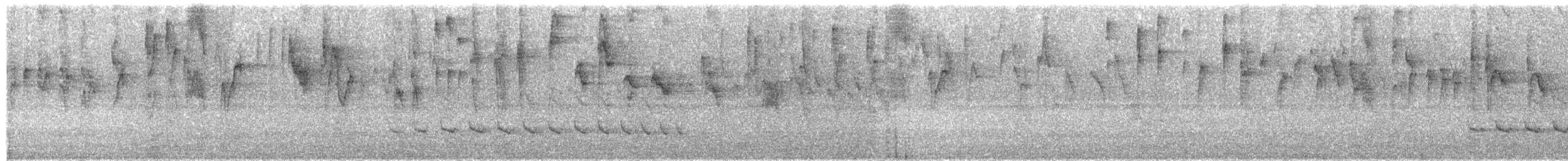 Bicolored Antvireo - ML99241141