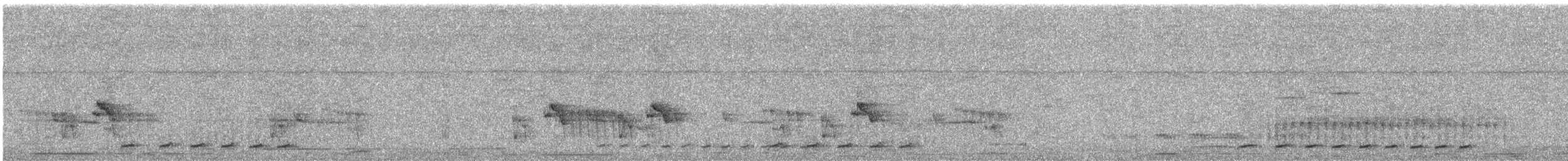 Timalie perlée - ML99319321