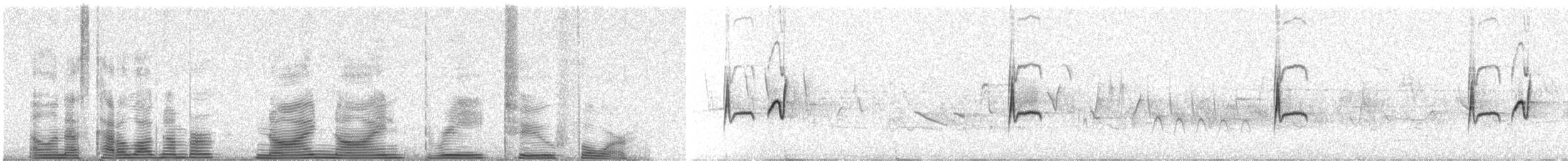 krattempid - ML99324