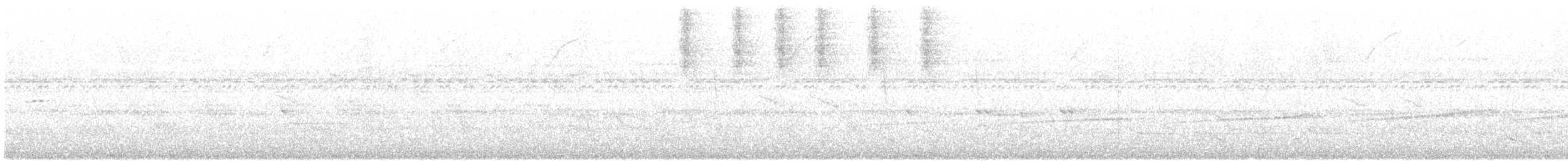 Bürzelbinden-Ameisenfänger - ML99352291