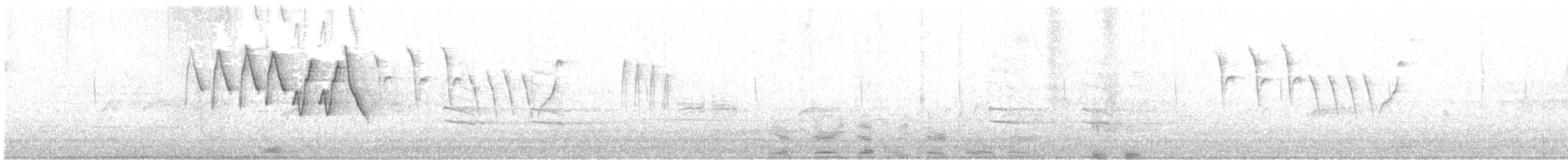 Chestnut-sided Warbler - ML99388161
