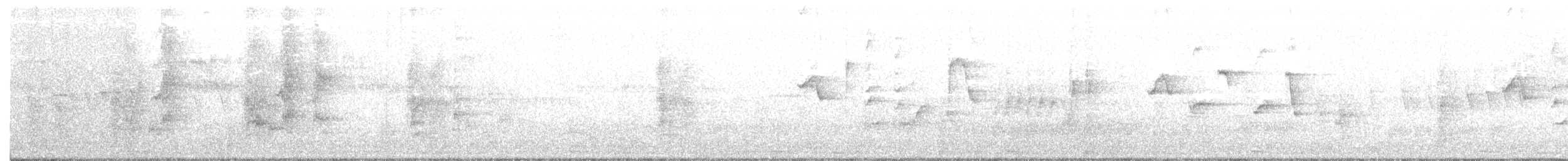 Lesser Gray Shrike - ML99390481