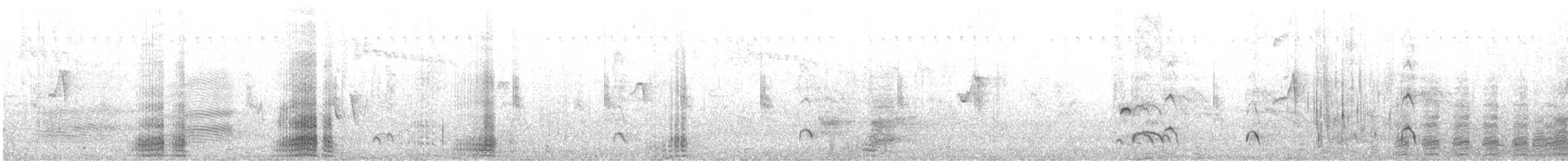 Chestnut Teal - ML99435741