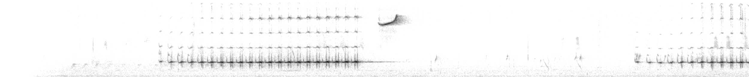 Пестрокрылый флейтист - ML99438371