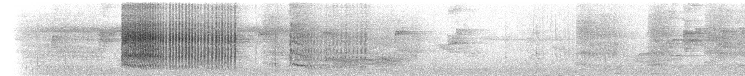 Psittacule double-oeil - ML99440771