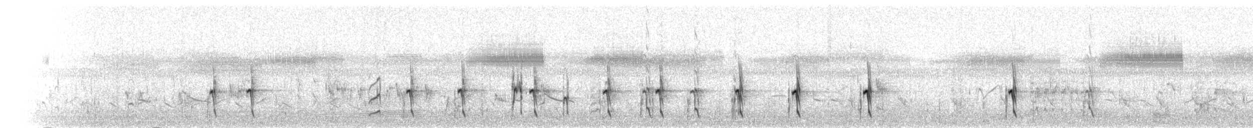 Chorlitejo Semipalmeado - ML99458271