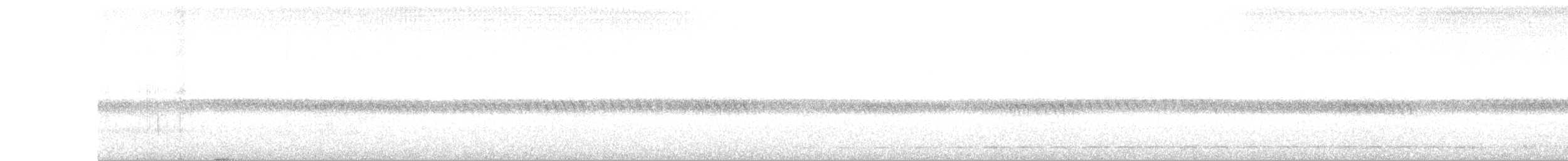 Streifenbrust-Ameisendrossel - ML99463351
