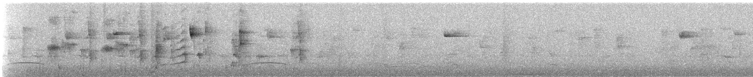Колібрі-шаблекрил юкатанський - ML99482661
