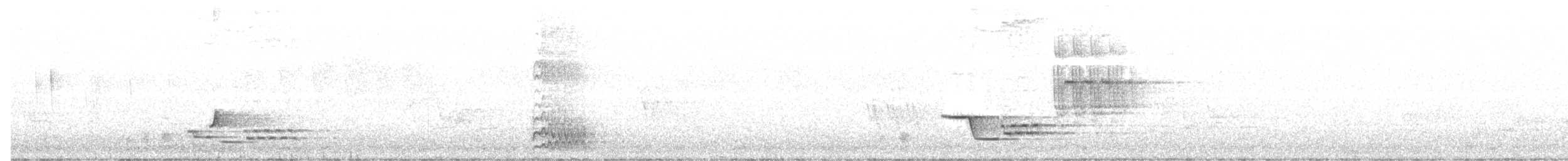 Walddrossel - ML99509011