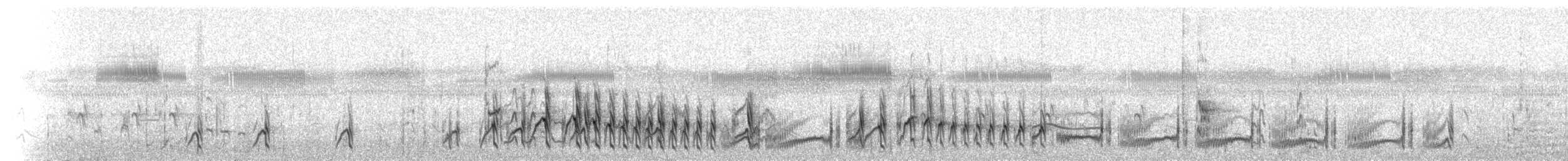 Chorlitejo Semipalmeado - ML99512621