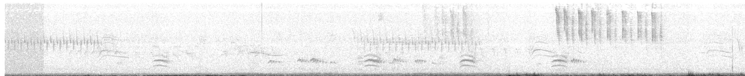 White-breasted Nuthatch - ML99532121