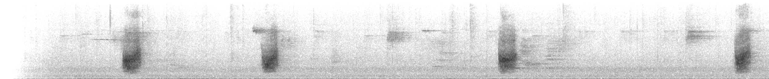 オウゴンニワシドリ - ML99560111