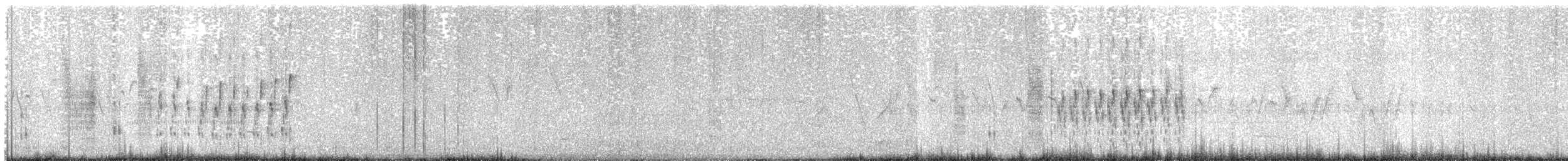 Troglodyte des marais - ML99563501