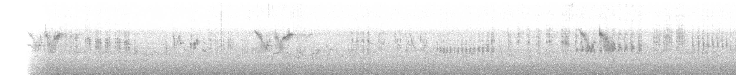 Phragmite des joncs - ML99569911