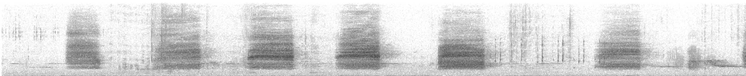 Ойсея плямиста - ML99575921
