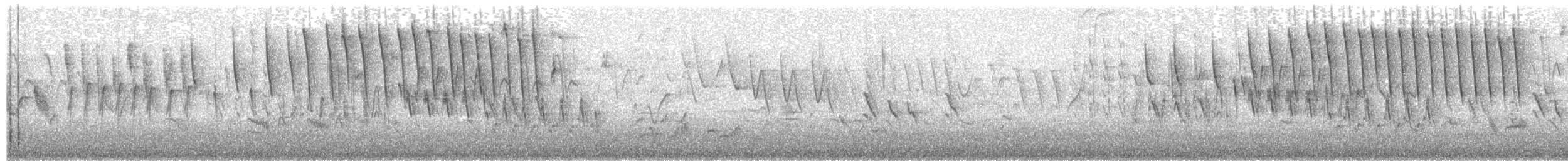 Tennessee Warbler - ML99588351