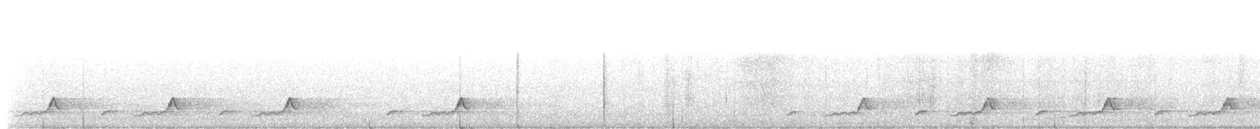 Eastern Whip-poor-will - ML99589691