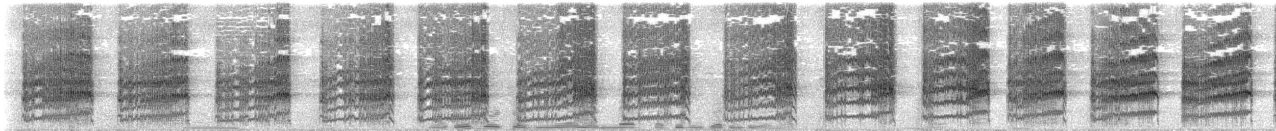 Rotbüschel-Bartvogel - ML99591741