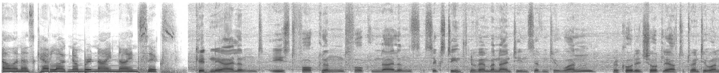 灰水薙鳥 - ML996